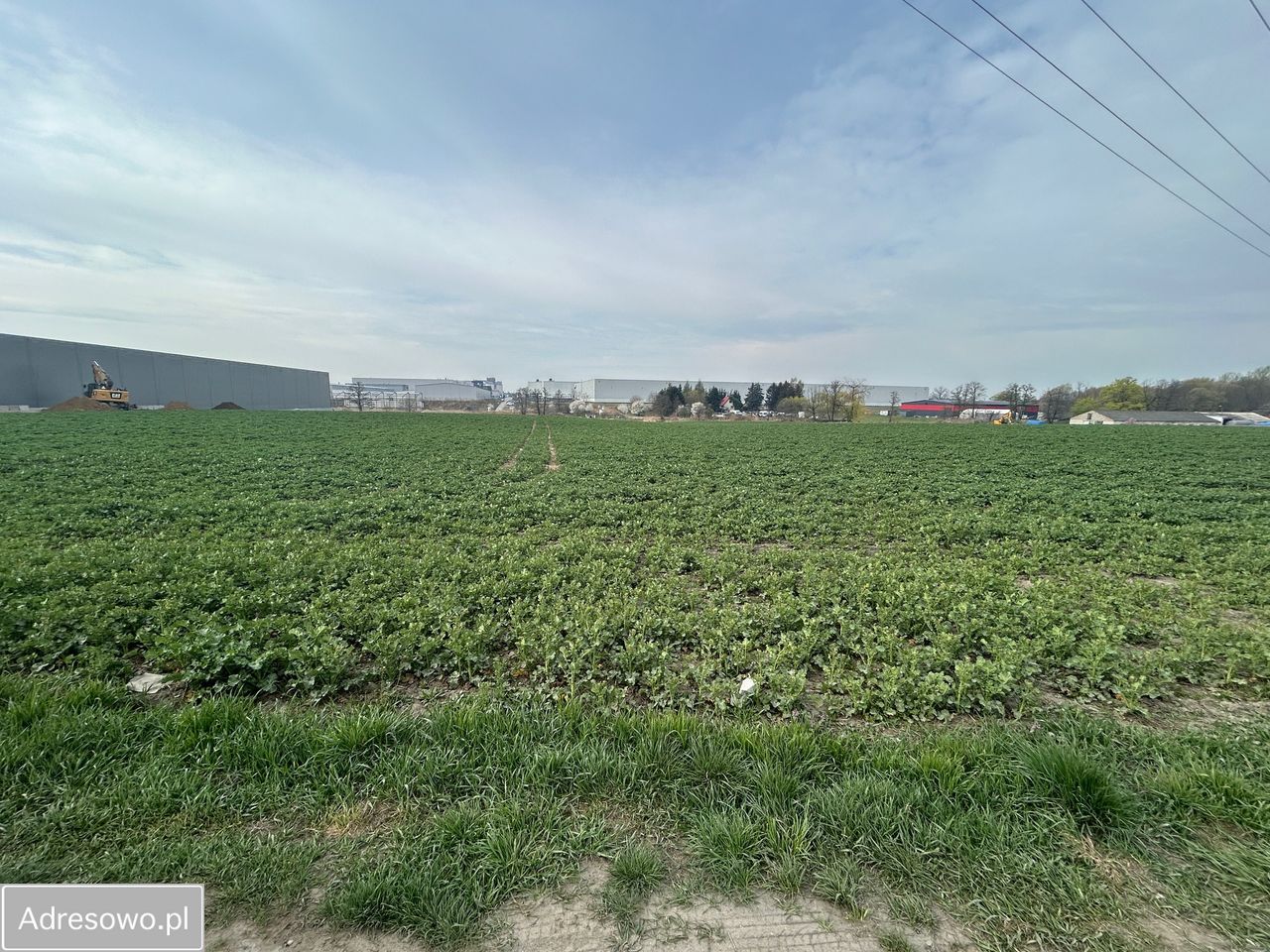Działka inwestycyjna Robakowo. Zdjęcie 2