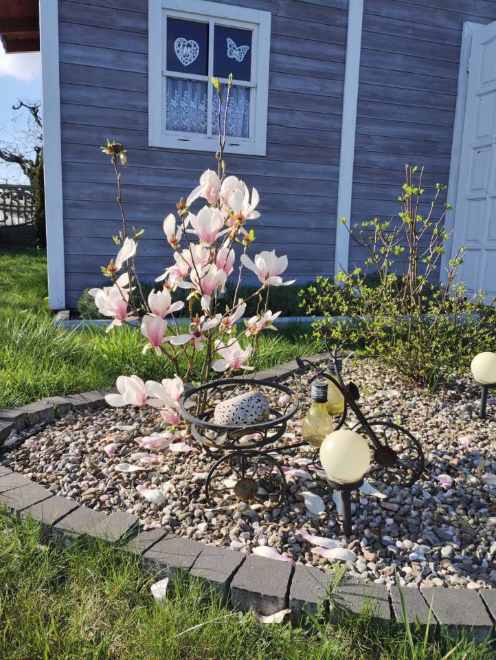 Działka rod Pyzdry. Zdjęcie 3