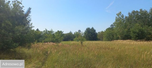 Działka budowlana Wieliszew, ul. Cicha. Zdjęcie 1