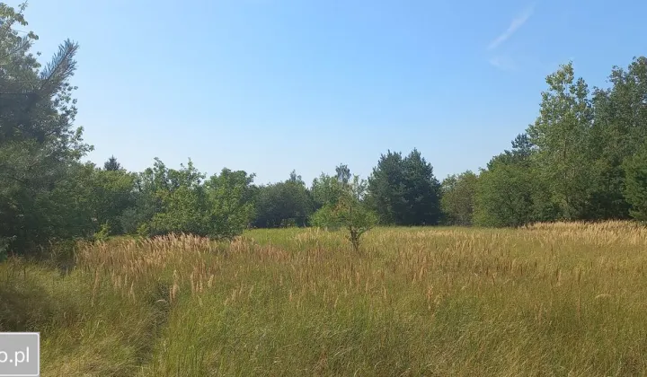 Działka budowlana Wieliszew, ul. Cicha