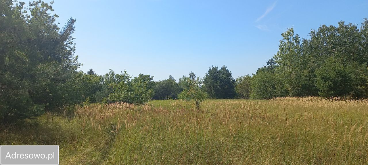 Działka budowlana Wieliszew, ul. Cicha