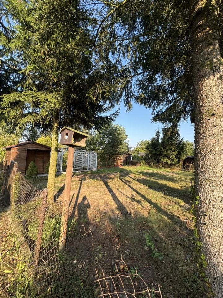 Działka rod Ciechanów. Zdjęcie 3