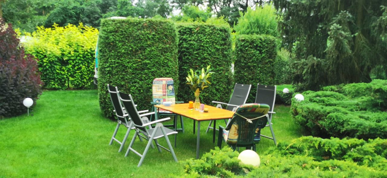 Działka rekreacyjna Głuszynek. Zdjęcie 7