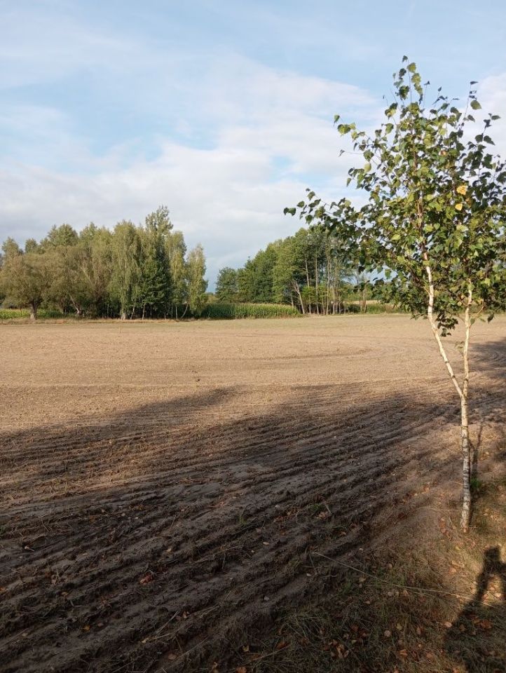 Działka budowlana Ciemniewo. Zdjęcie 7