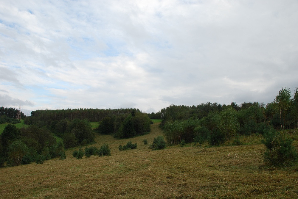 Działka siedliskowa Górzanka. Zdjęcie 7