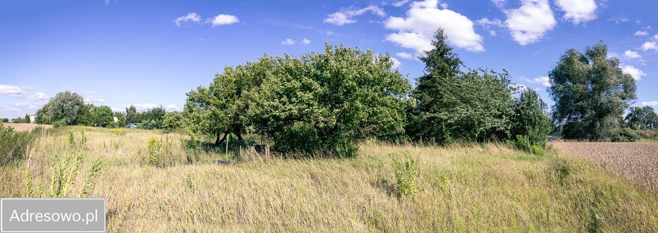 Działka rolno-budowlana Papowo Toruńskie, ul. Parkowa. Zdjęcie 4