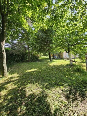 Działka rekreacyjna Racibórz Płonia. Zdjęcie 9