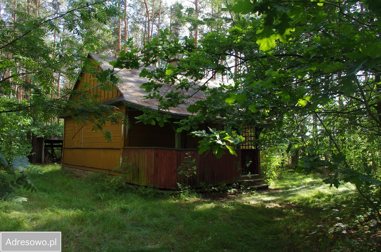 Działka leśna Rogoźnica. Zdjęcie 7