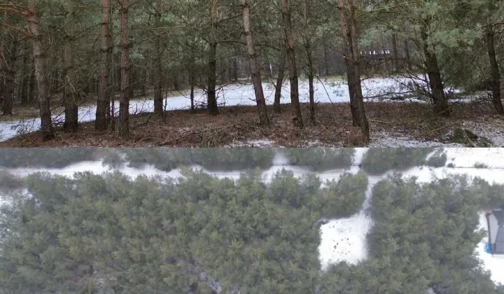 Działka rekreacyjna Adamowo