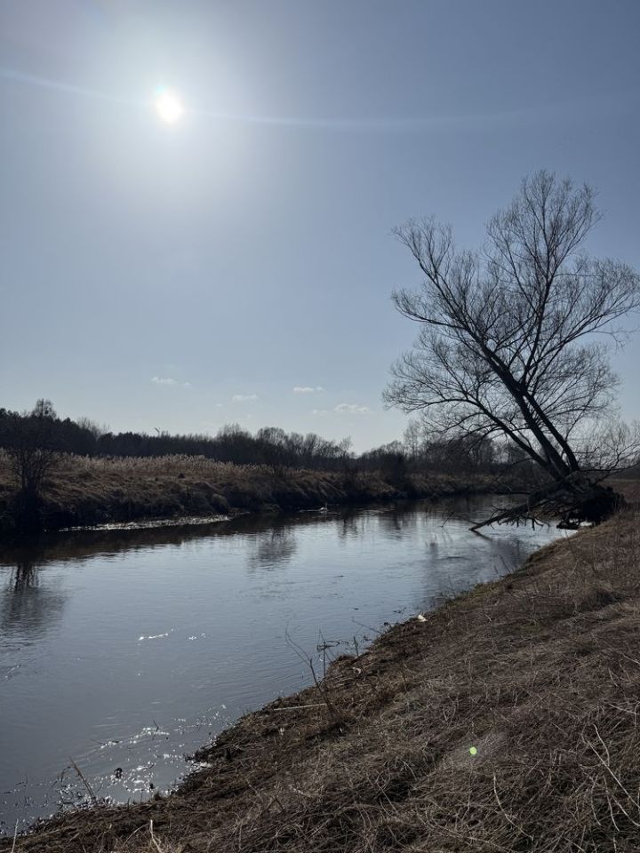 Działka rekreacyjna Częstochowa Mirów. Zdjęcie 3