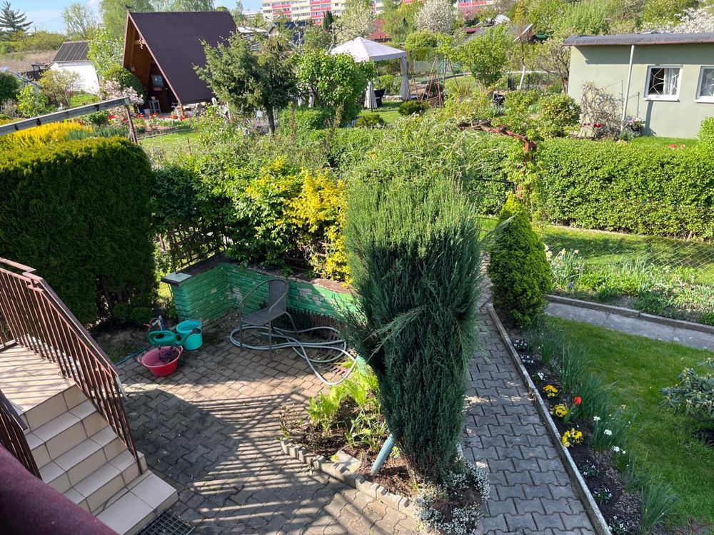 Działka rod Żory. Zdjęcie 4