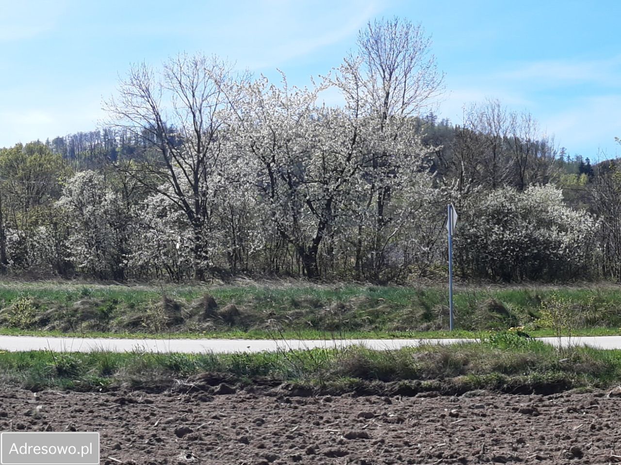 Działka budowlana Jemna. Zdjęcie 2