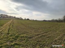 Działka rolna Sławkowice Kalinów. Zdjęcie 1