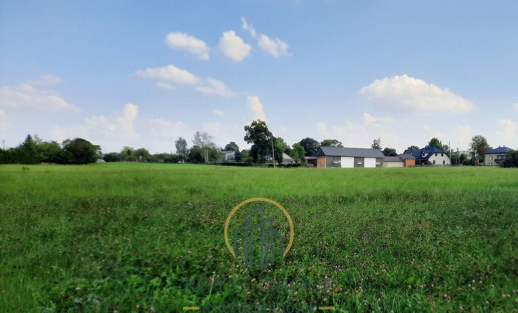 Działka rolna Rudno. Zdjęcie 3