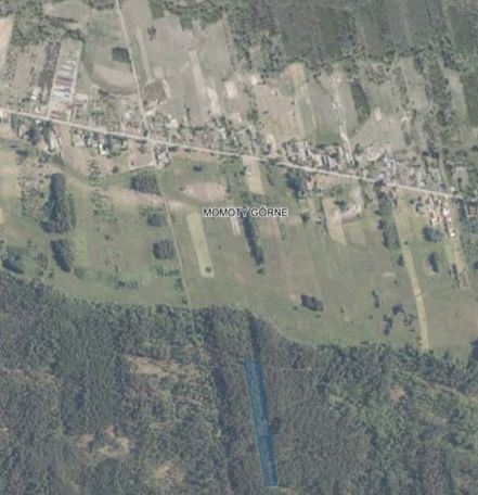 Działka leśna Momoty Górne. Zdjęcie 2