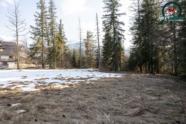 Działka inwestycyjna Kościelisko, ul. Nędzy Kubińca. Zdjęcie 9