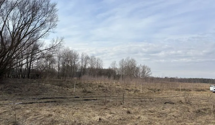 Działka budowlana Płaciszewo