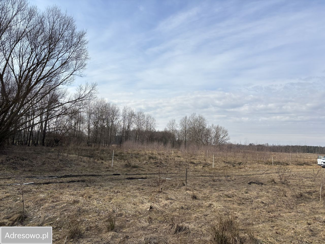 Działka budowlana Płaciszewo. Zdjęcie 1