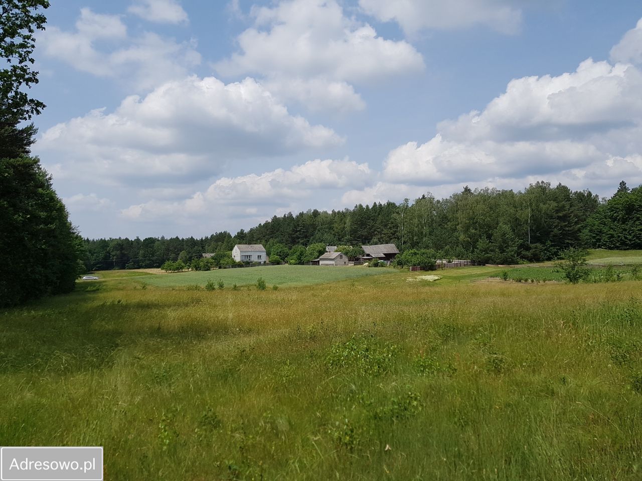 Działka budowlana Kontrewers. Zdjęcie 10