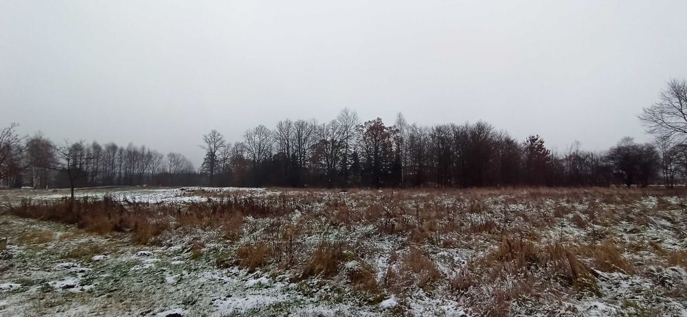 Działka budowlana Stara Kopernia. Zdjęcie 3