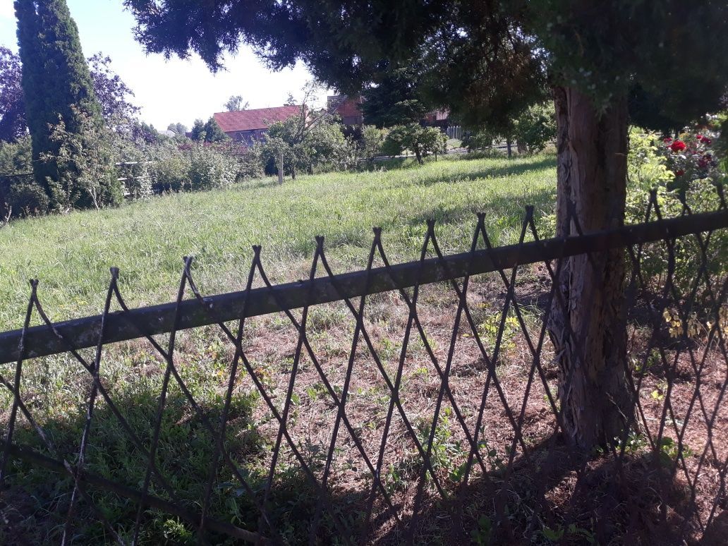 Działka rekreacyjna Olszany. Zdjęcie 4