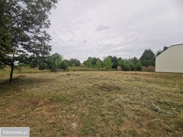 Działka budowlana Czarny Las. Zdjęcie 1