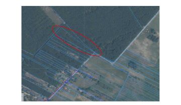 Działka leśna Grabów Zaleśny