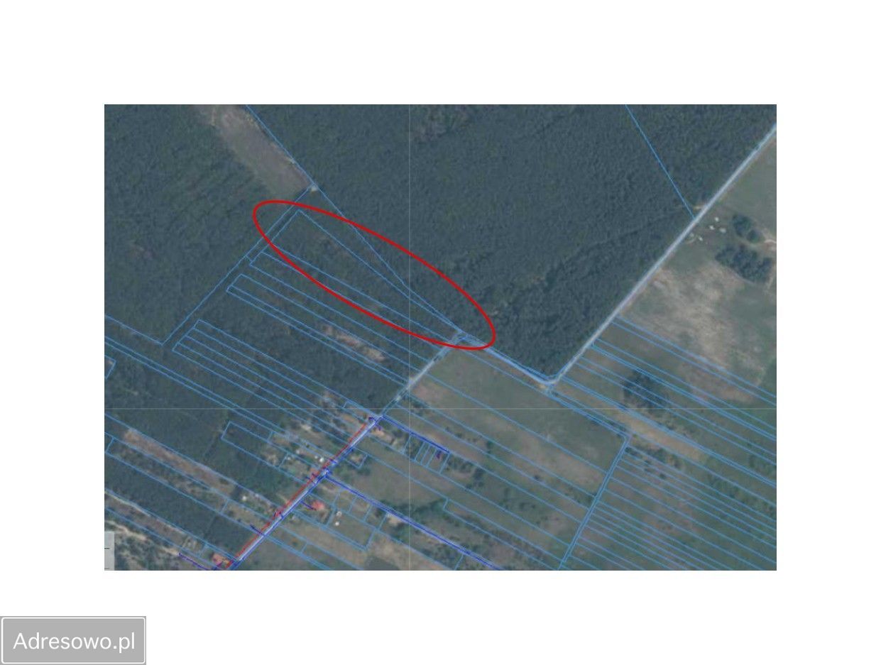 Działka leśna Grabów Zaleśny