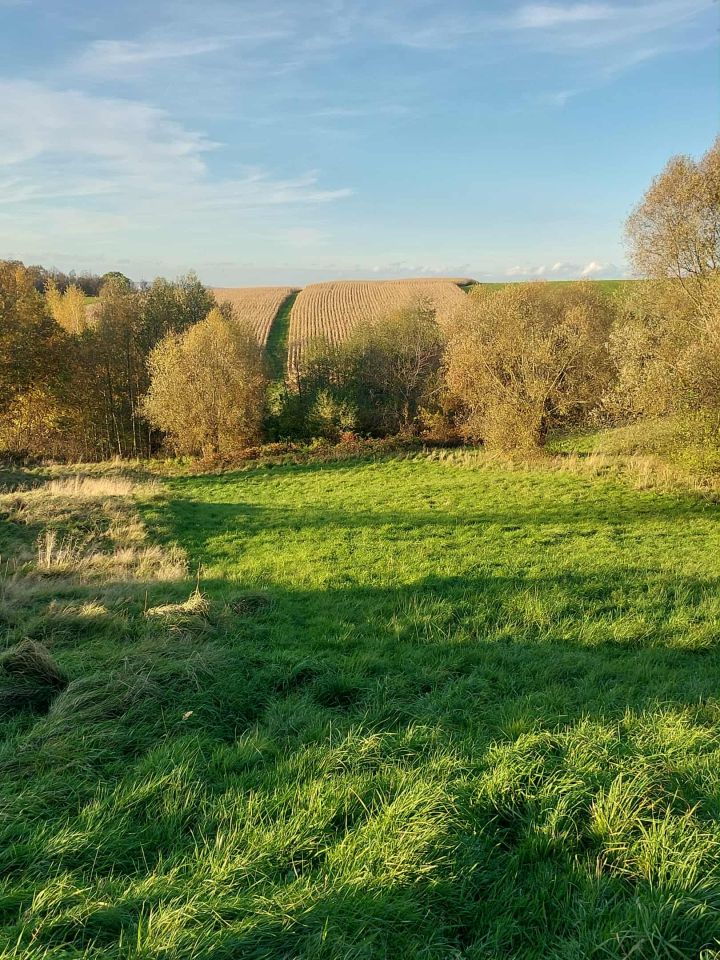 Działka rolna Radocza, ul. Jagiellońska. Zdjęcie 2