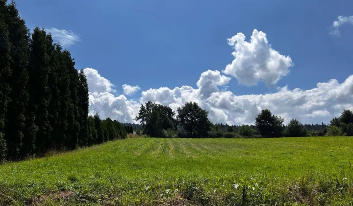 Działka budowlana Kalwaria Zebrzydowska, ul. Zjednoczenia