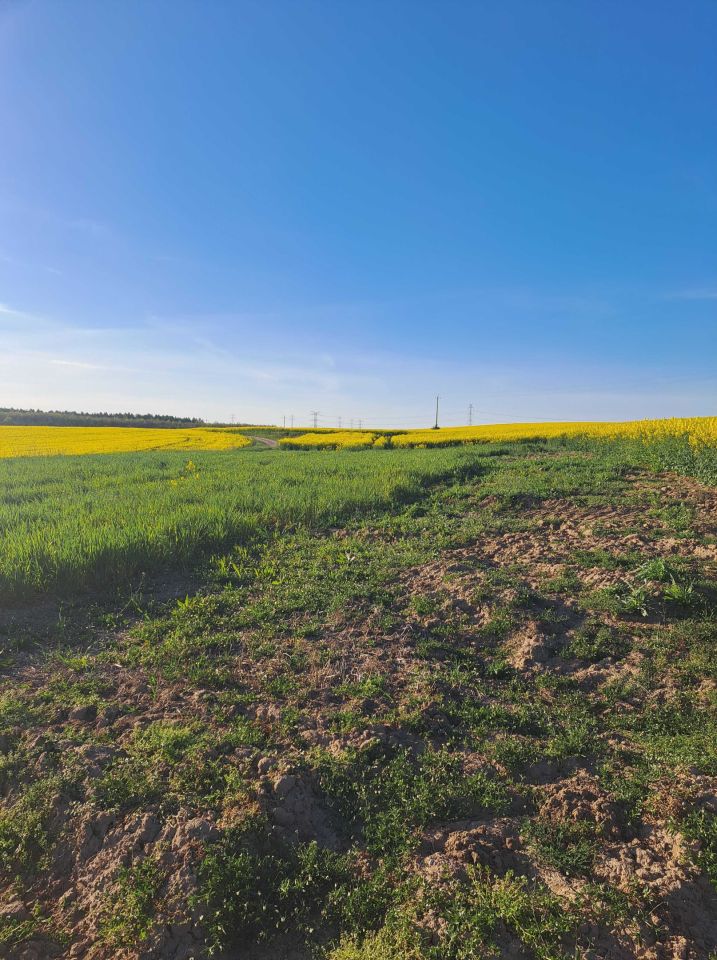 Działka rolno-budowlana Białochowo. Zdjęcie 4