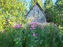 Działka rod Działdowo Działki, ul. Romana Dmowskiego. Zdjęcie 3