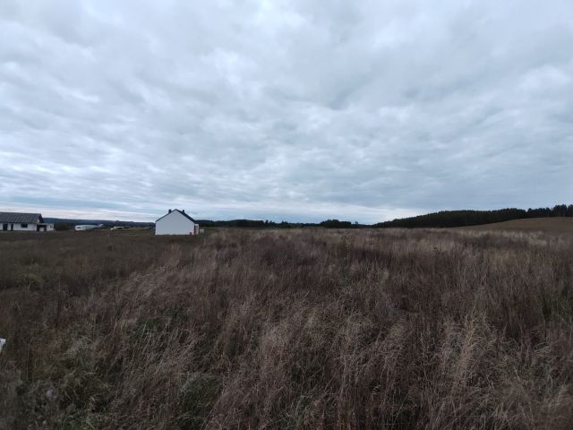 Działka rolno-budowlana Borzytuchom. Zdjęcie 1