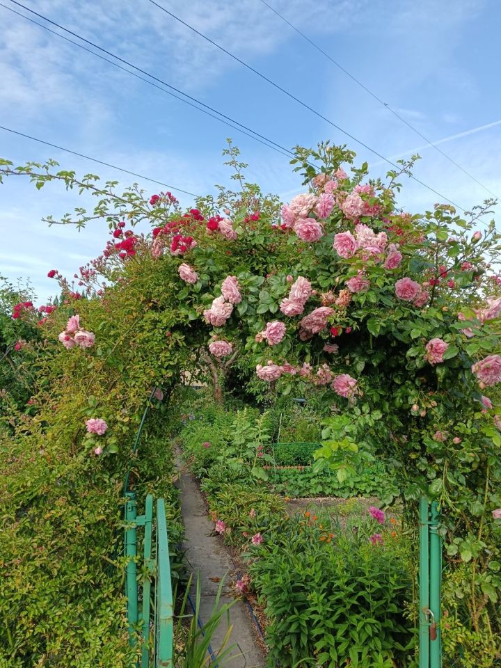 Działka rod Niekłonice. Zdjęcie 5