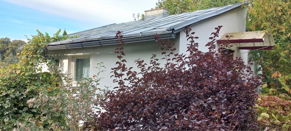 dom letniskowy Murucin. Zdjęcie 3