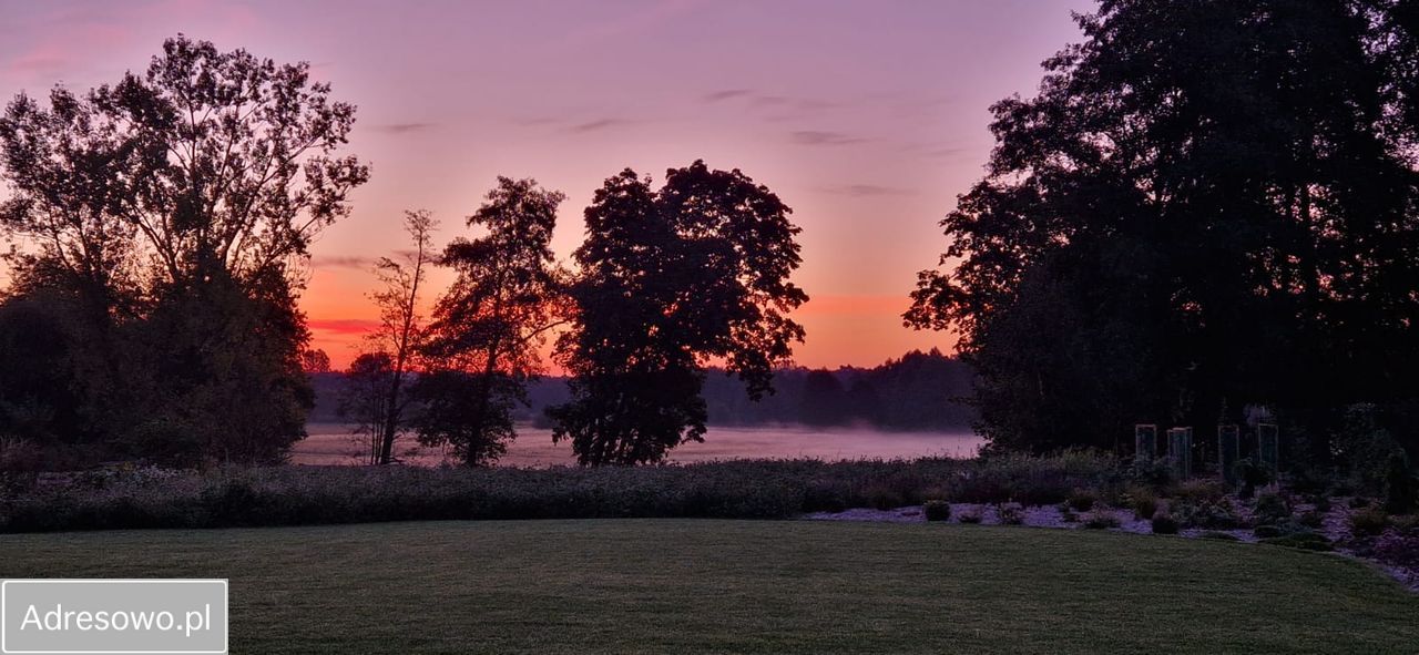 Działka rolno-budowlana Osmolice Pierwsze. Zdjęcie 7