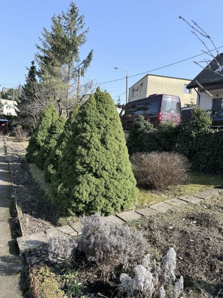 Działka rod Chełmno, ul. Parowa. Zdjęcie 6