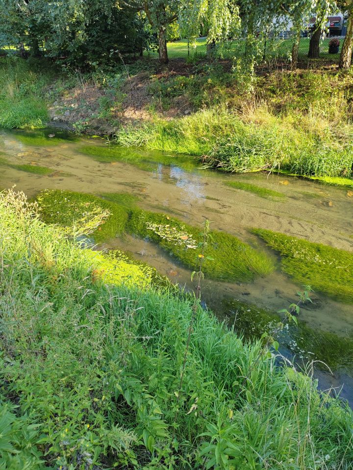 dom wolnostojący, 3 pokoje Jarnołtówek, Brak. Zdjęcie 11