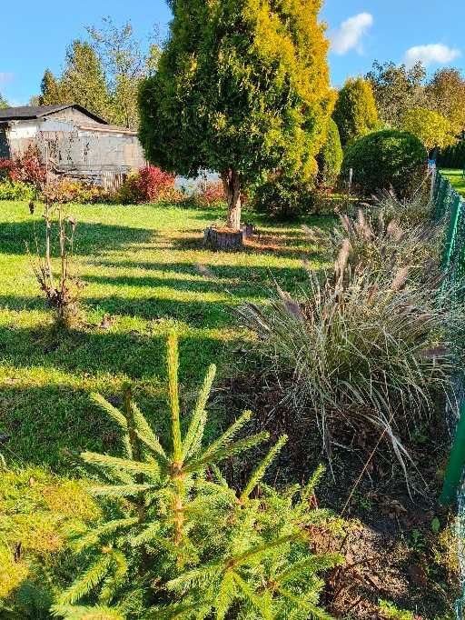 Działka rod Łódź Polesie, ul. Krakowska. Zdjęcie 5