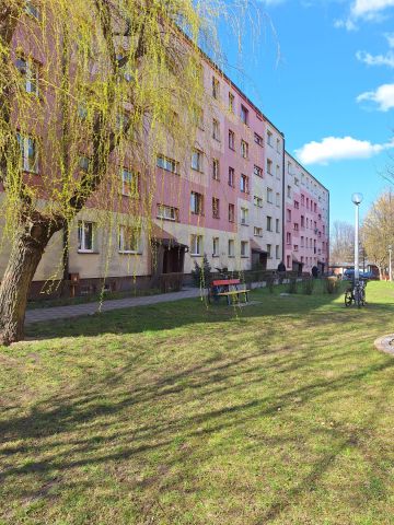 Mieszkanie 1-pokojowe Zawiercie Centrum, ul. Ignacego Paderewskiego. Zdjęcie 1