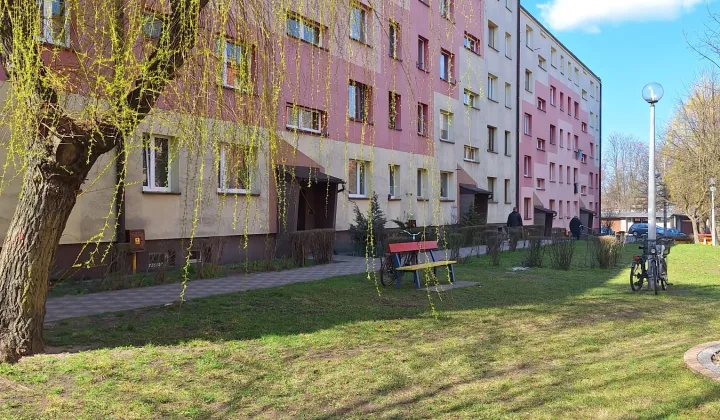 Mieszkanie 1-pokojowe Zawiercie Centrum, ul. Ignacego Paderewskiego