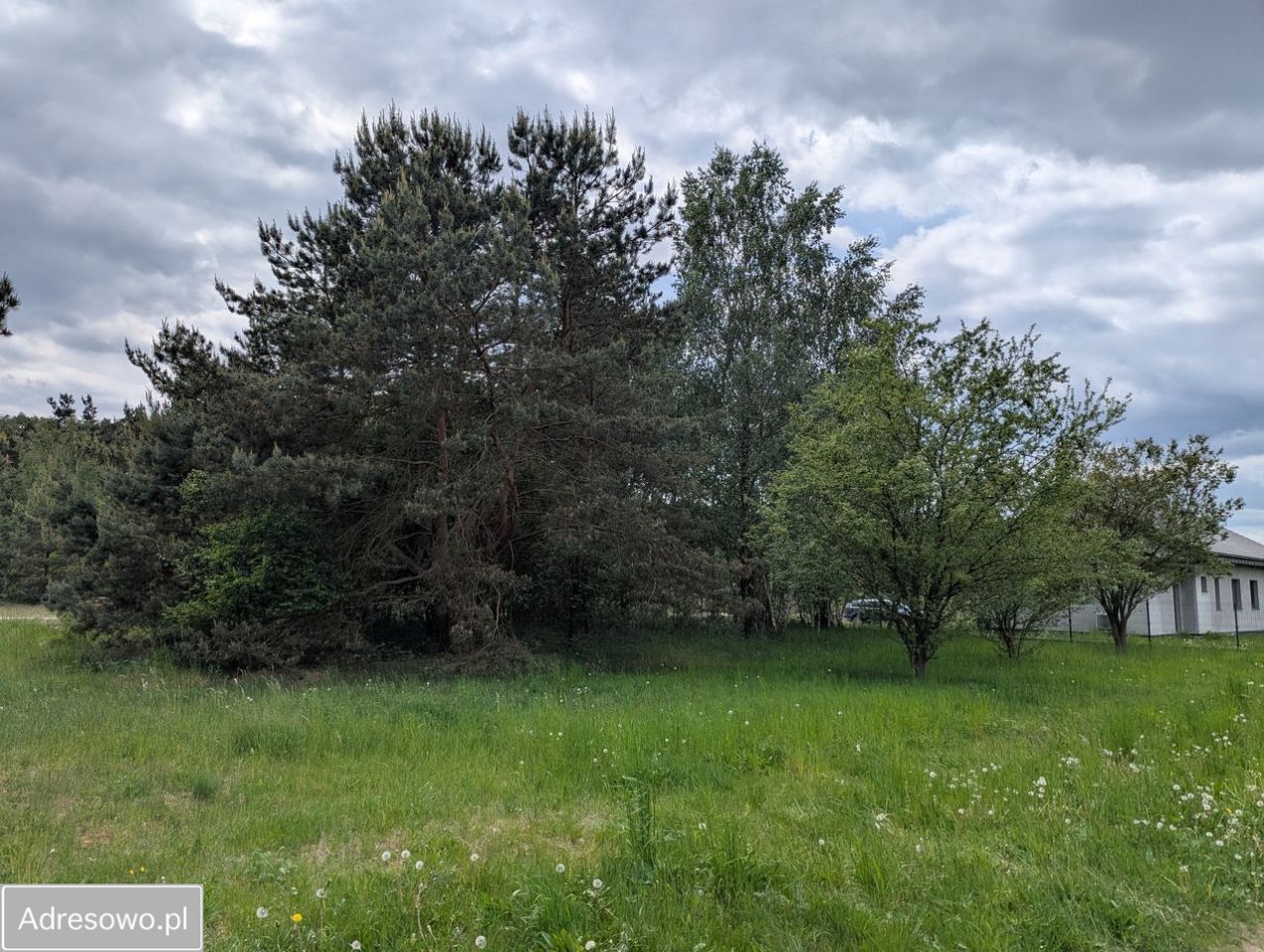 Działka budowlana Sieraków, ul. Dębowa. Zdjęcie 10