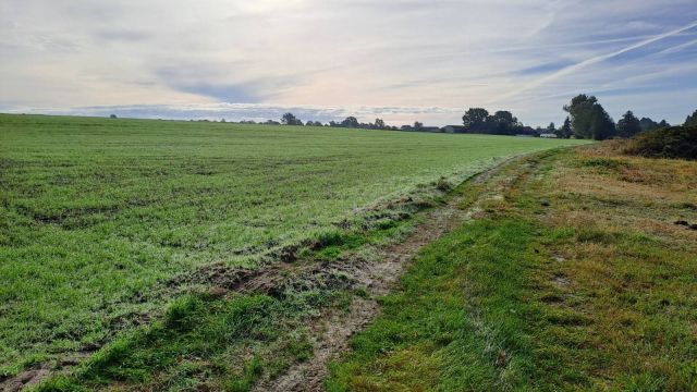Działka budowlana Dobruchów. Zdjęcie 1