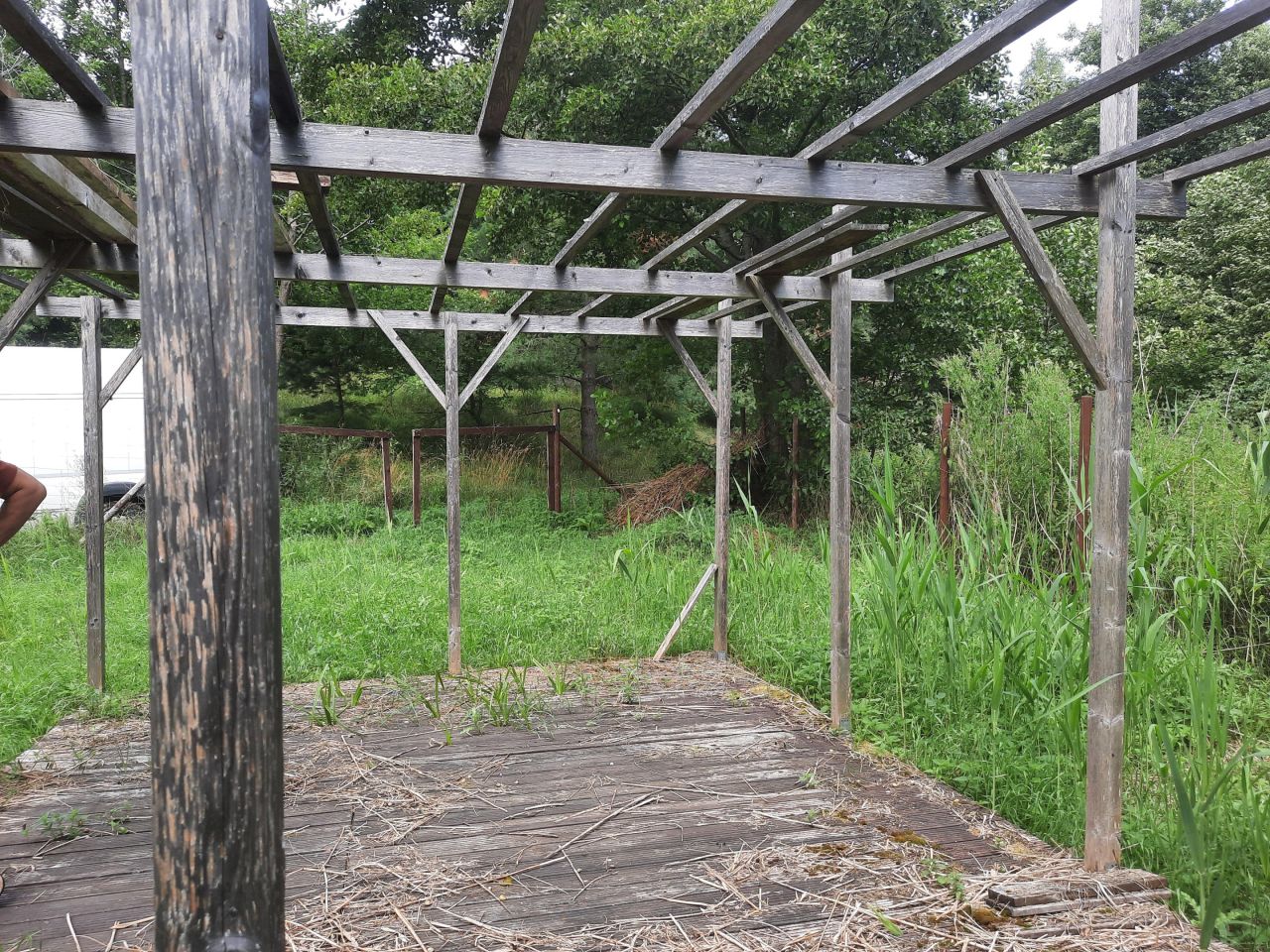 Działka rekreacyjna Minikowo. Zdjęcie 18