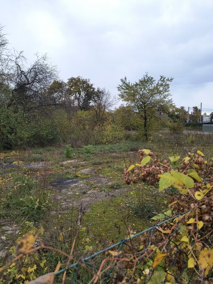 dom wolnostojący, 11 pokoi Kotla, ul. Głogowska. Zdjęcie 18