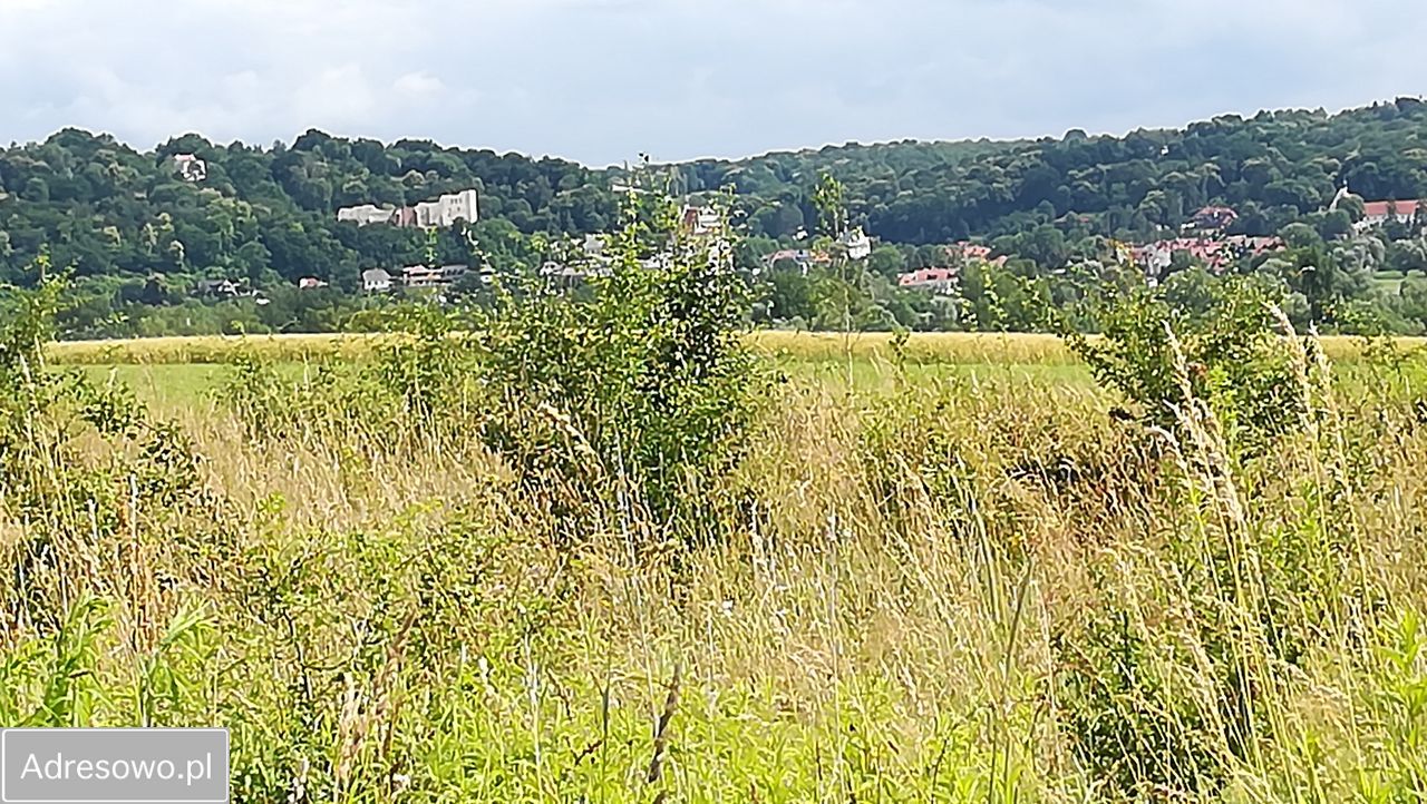 Działka inwestycyjna Wojszyn. Zdjęcie 3