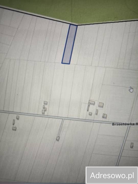 Działka rolna Brzostówka. Zdjęcie 3