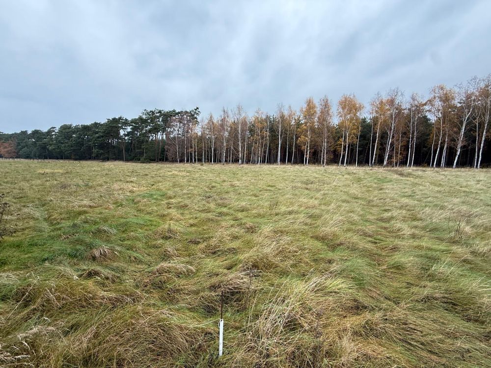 Działka budowlana Trzęsów. Zdjęcie 5