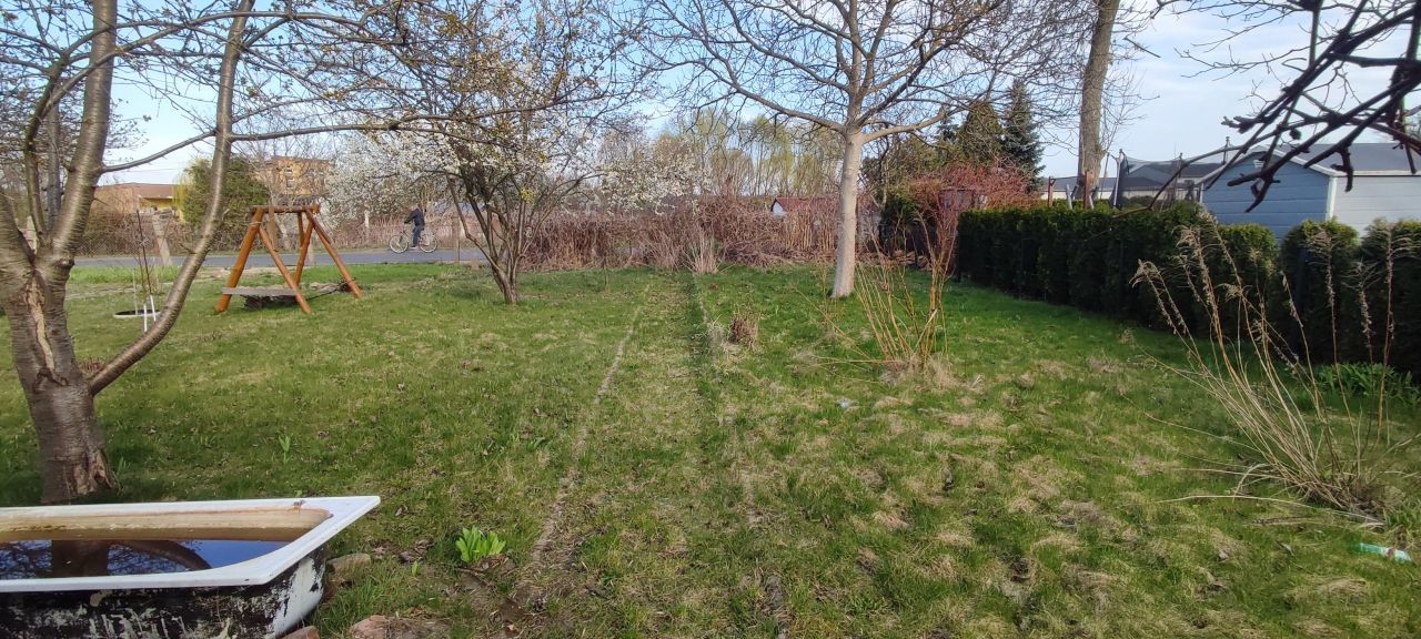 Działka rod Nowa Sól Centrum, brzozowa. Zdjęcie 2