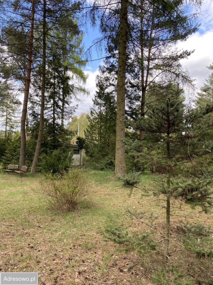Działka budowlana Rokitnica. Zdjęcie 9